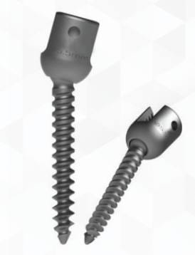 Polyaxial Screw