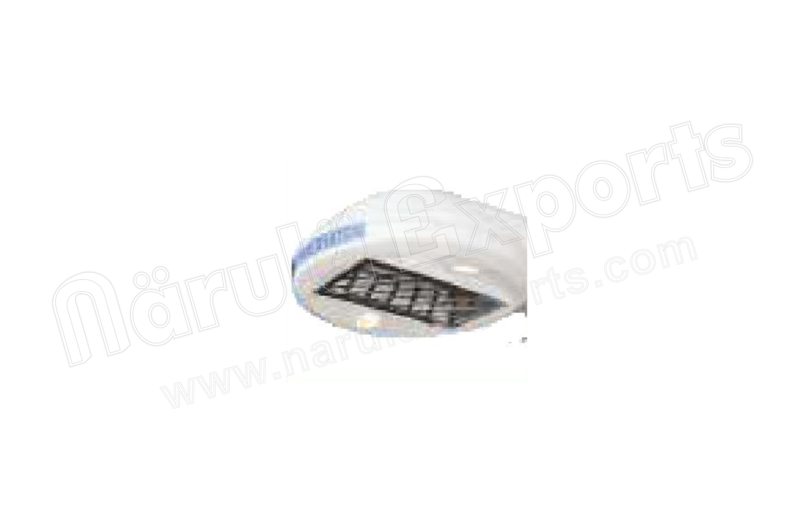 Infant Radiant Warmer